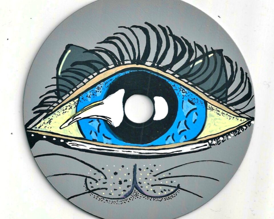Auge KiezMiez030 graue cd 2020-11-02