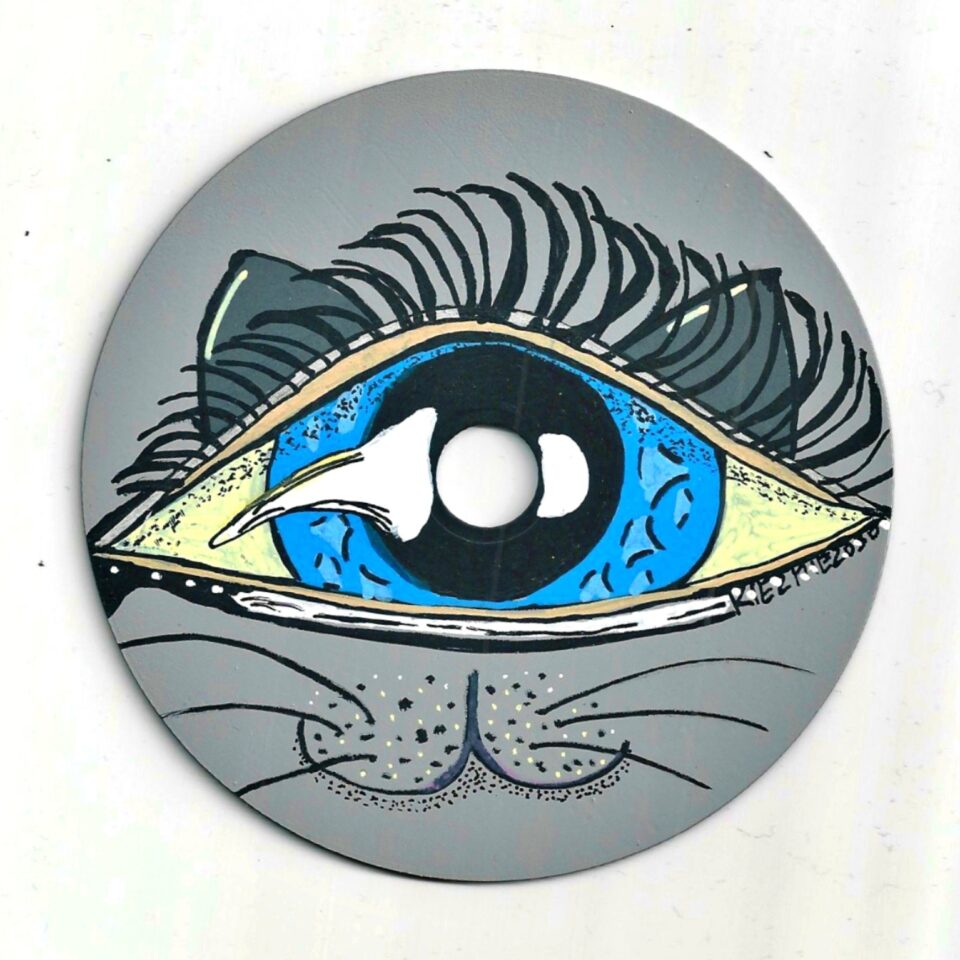 Auge KiezMiez030 graue cd 2020-11-02